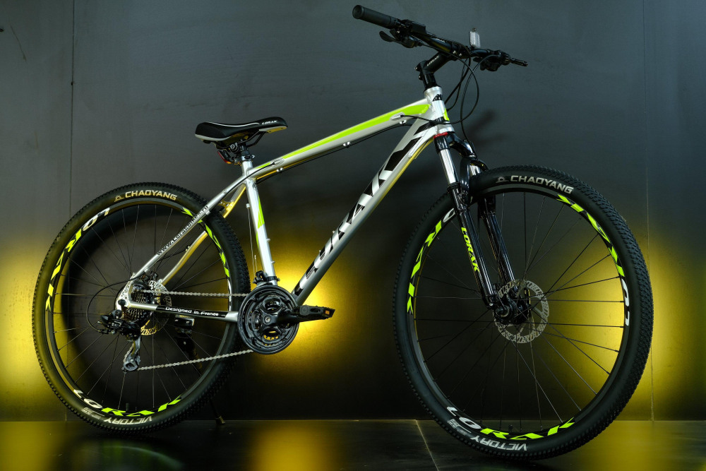 Lorak Sel 8900 HD Серебристый/Салатовый 17р (на рост 155-173)